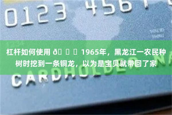 杠杆如何使用 🌞1965年，黑龙江一农民种树时挖到一条铜龙，以为是宝贝就带回了家