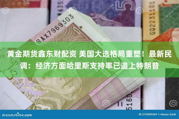 黄金期货鑫东财配资 美国大选格局重塑！最新民调：经济方面哈里斯支持率已追上特朗普