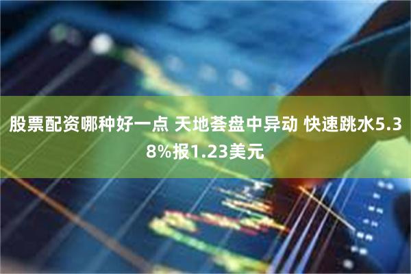 股票配资哪种好一点 天地荟盘中异动 快速跳水5.38%报1.23美元