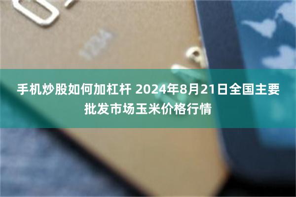 手机炒股如何加杠杆 2024年8月21日全国主要批发市场玉米价格行情