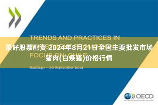 最好股票配资 2024年8月21日全国主要批发市场猪肉(白条猪)价格行情