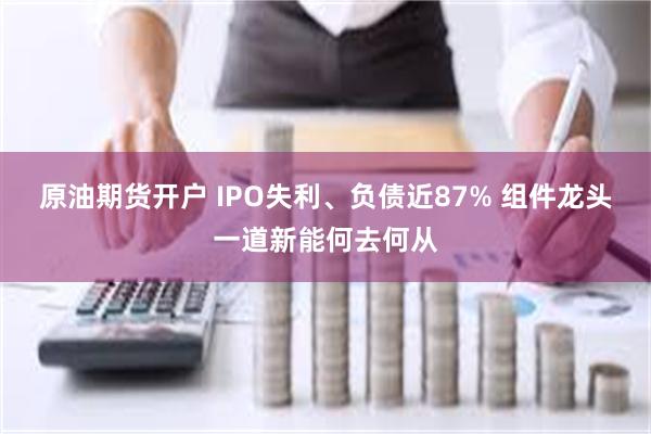 原油期货开户 IPO失利、负债近87% 组件龙头一道新能何去何从