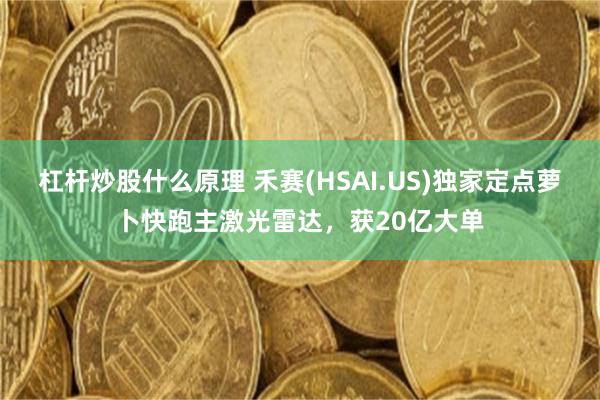 杠杆炒股什么原理 禾赛(HSAI.US)独家定点萝卜快跑主激光雷达，获20亿大单