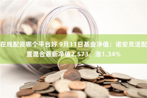 在线配资哪个平台好 9月11日基金净值：诺安灵活配置混合最新净值2.573，涨1.34%