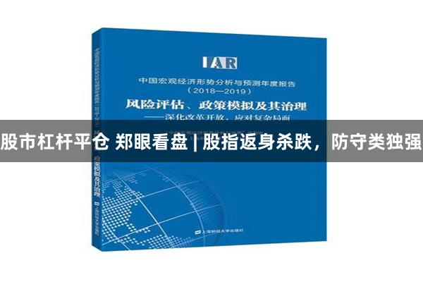 股市杠杆平仓 郑眼看盘 | 股指返身杀跌，防守类独强