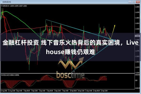 金融杠杆投资 线下音乐火热背后的真实困境，Livehouse赚钱仍艰难