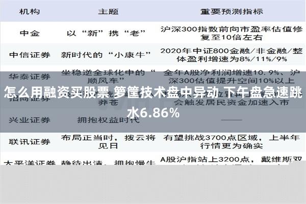 怎么用融资买股票 箩筐技术盘中异动 下午盘急速跳水6.86%