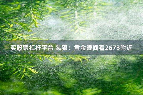 买股票杠杆平台 头狼：黄金晚间看2673附近