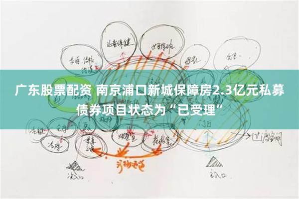 广东股票配资 南京浦口新城保障房2.3亿元私募债券项目状态为“已受理”