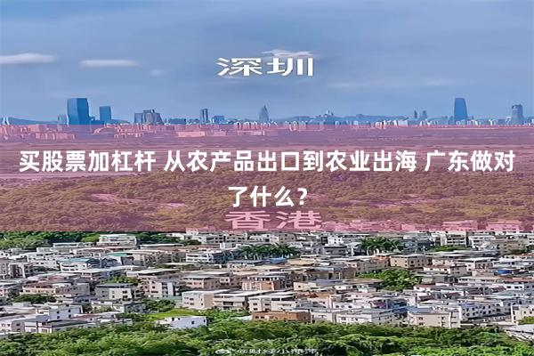 买股票加杠杆 从农产品出口到农业出海 广东做对了什么？