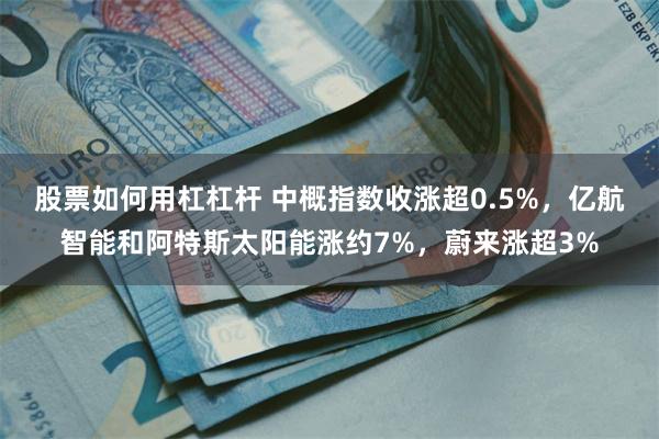 股票如何用杠杠杆 中概指数收涨超0.5%，亿航智能和阿特斯太阳能涨约7%，蔚来涨超3%